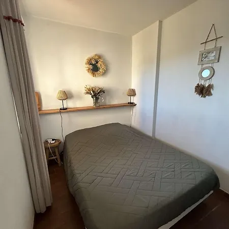 Lägenhet Refait A Neuf Avec Climatisation - - Fr-1-845-9 Six-Fours-les-Plages