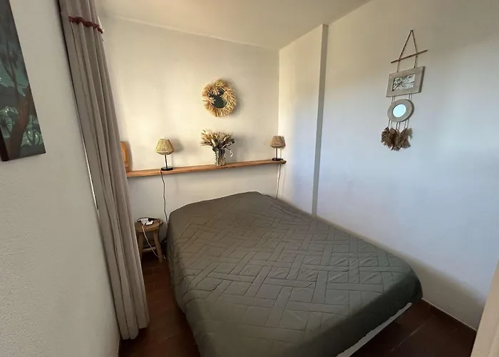 Apartment Refait A Neuf Avec Climatisation - - Fr-1-845-9 Six-Fours-les-Plages